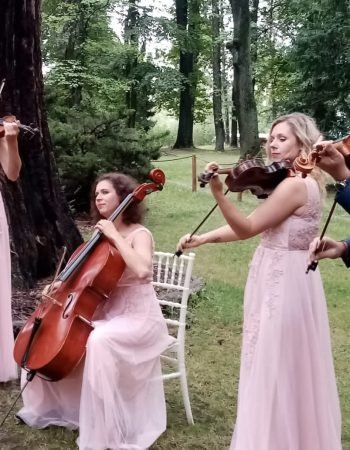 Life music for  wedding  proposal or your fantastic wedding day – solo violin, duo, trio or quartet
