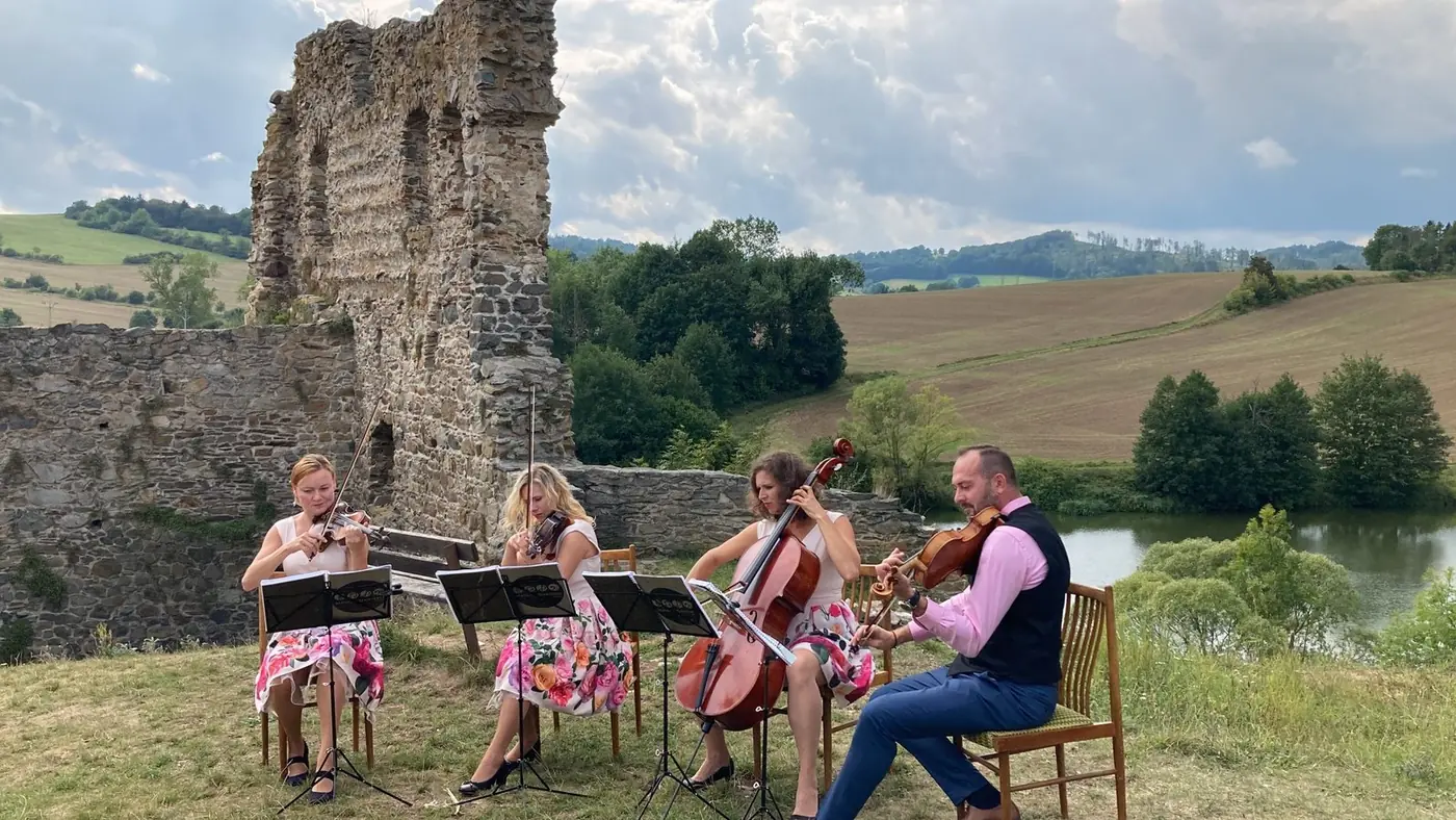 Live wedding music in Prague - violin duo and quartet — photo 6